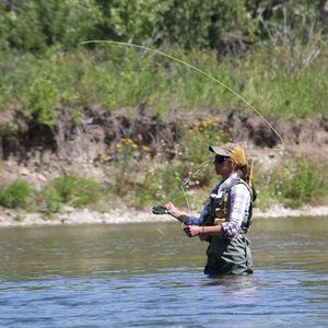 Meet your Posher, Barbara
